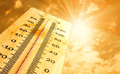 Heat wave claims over 900 lives in India, Delhi records 46 degree